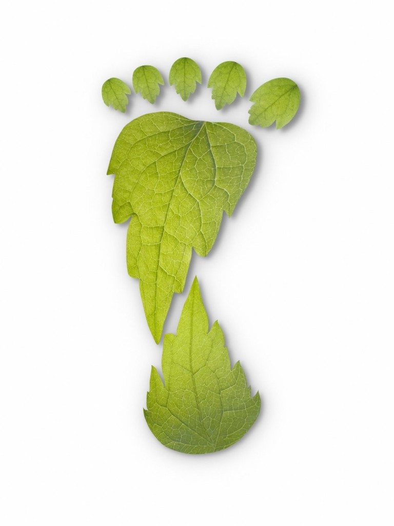 Green Leaf Footprint